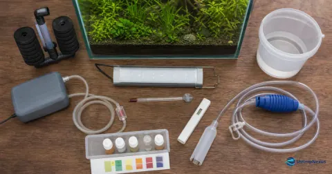 Filtro de esponja, bomba de ar, luz, termómetro e testes para aquário de camarões