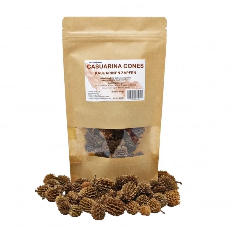 Cones de Casuarina, alimentacao. Comprar em Portugal