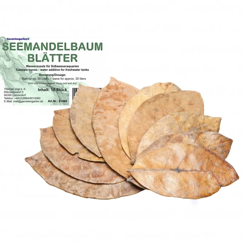 Folhas de Catappa, 10 unidades, alimentacao. Comprar em Portugal